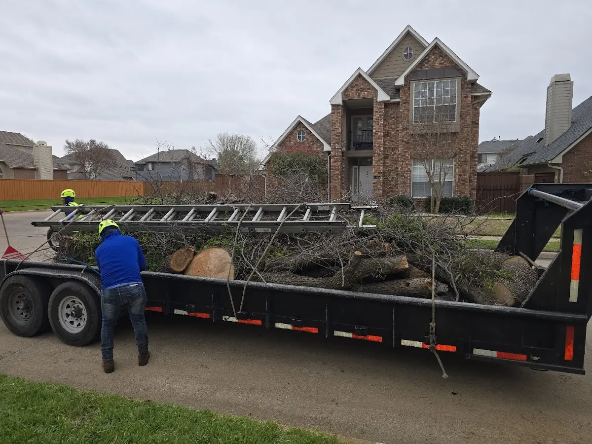 Expert Tree Fertilization with proper safety equipment in Charlestown